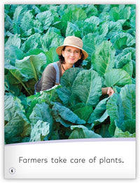 Farmers Grow Food from My World