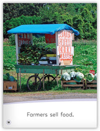 Farmers Grow Food from My World