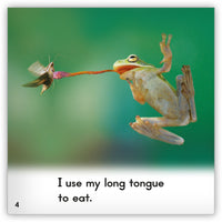 Frog from Zoozoo Into the Wild