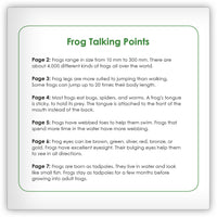 Frog from Zoozoo Into the Wild