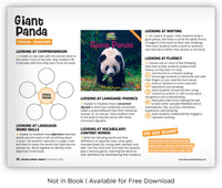 Giant Panda from Zoozoo Animal World