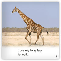 Giraffe from Zoozoo Into the Wild