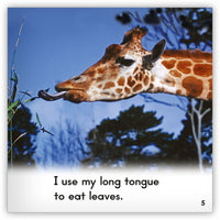 Giraffe from Zoozoo Into the Wild