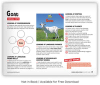 Goat from Zoozoo Animal World