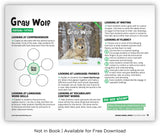 Gray Wolf from Zoozoo Animal World