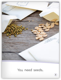 Growing a Garden from My World