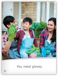 Growing a Garden from My World