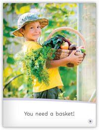 Growing a Garden from My World