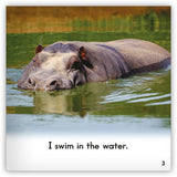 Hippo from Zoozoo Into the Wild