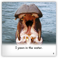 Hippo from Zoozoo Into the Wild