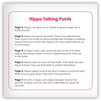 Hippo from Zoozoo Into the Wild