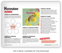 Honeybee from Zoozoo Animal World