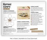 Horned Lizard from Zoozoo Animal World