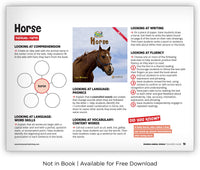 Horse from Zoozoo Animal World