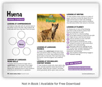 Hyena from Zoozoo Animal World