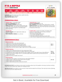 It Is a Reptile from Kaleidoscope Collection