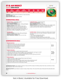 It Is an Insect from Kaleidoscope Collection