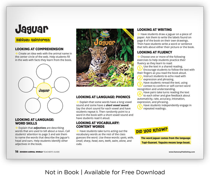 Jaguar from Zoozoo Animal World