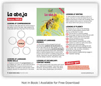 La abeja from Zoozoo Mundo Animal