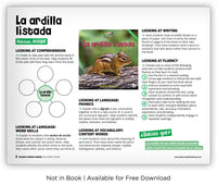 La ardilla listada from Zoozoo Mundo Animal