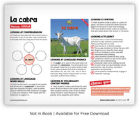 La cabra from Zoozoo Mundo Animal