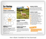 La llama from Zoozoo Mundo Animal