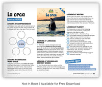 La orca from Zoozoo Mundo Animal