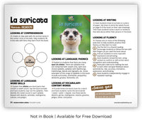 La suricata from Zoozoo Mundo Animal