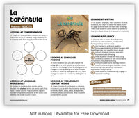 La tarántula from Zoozoo Mundo Animal