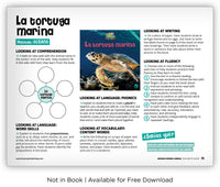 La tortuga marina from Zoozoo Mundo Animal