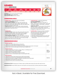 Lizards from Kaleidoscope Collection