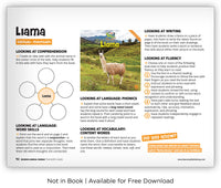 Llama from Zoozoo Animal World