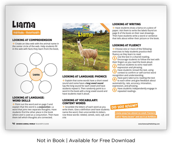 Llama from Zoozoo Animal World