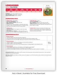 Longhorns from Kaleidoscope Collection