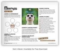 Meerkat from Zoozoo Animal World