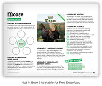 Moose from Zoozoo Animal World