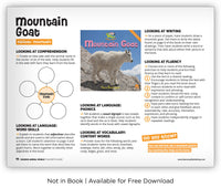 Mountain Goat from Zoozoo Animal World