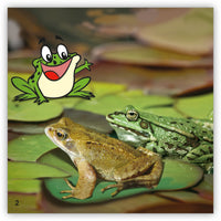 New Friends from Zoozoo Into the Wild