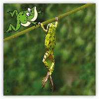 New Friends from Zoozoo Into the Wild