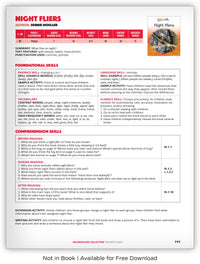 Night Fliers from Kaleidoscope Collection