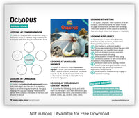 Octopus from Zoozoo Animal World