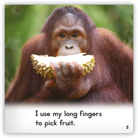 Zoozoo Into the Wild Nonfiction Set