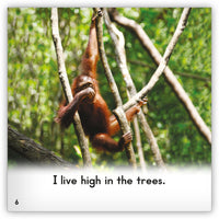 Zoozoo Into the Wild Nonfiction Set