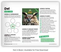 Owl from Zoozoo Animal World