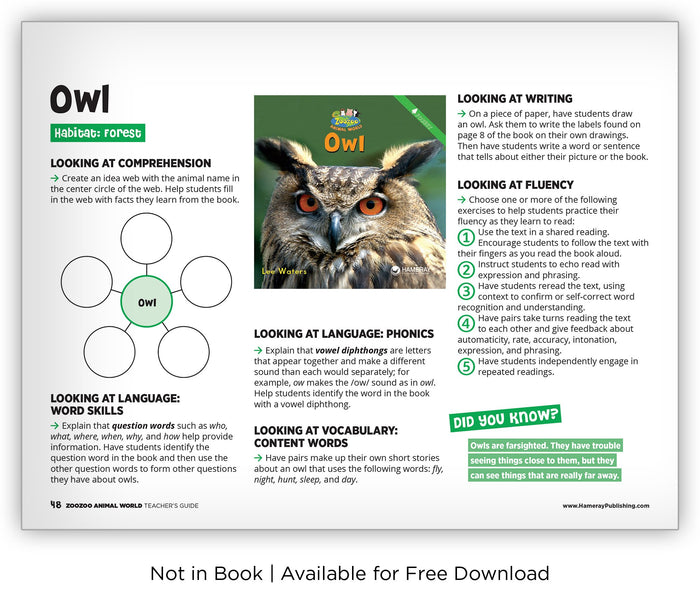 Owl from Zoozoo Animal World