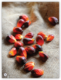 Planting from My World