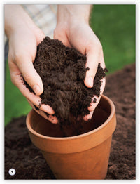 Planting from My World