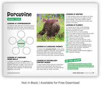 Porcupine from Zoozoo Animal World