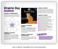 Prairie Dog from Zoozoo Animal World