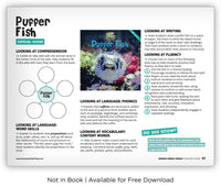 Puffer Fish from Zoozoo Animal World